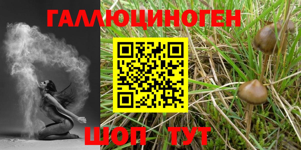 Псилоцибиновые грибы GOLDEN TEACHER  Вход с VPN  Обнинск  Галлюциногенные грибы Cubensis 